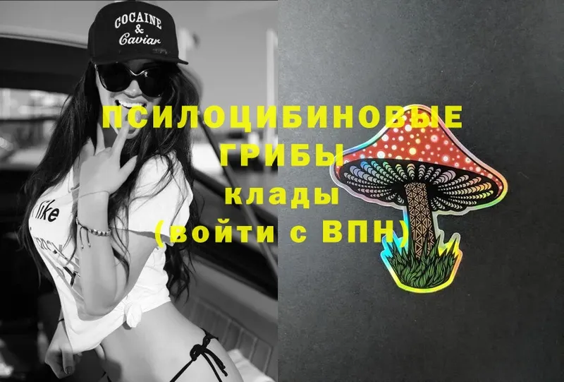 MEGA tor  Кинешма  Галлюциногенные грибы MAGIC MUSHROOMS 