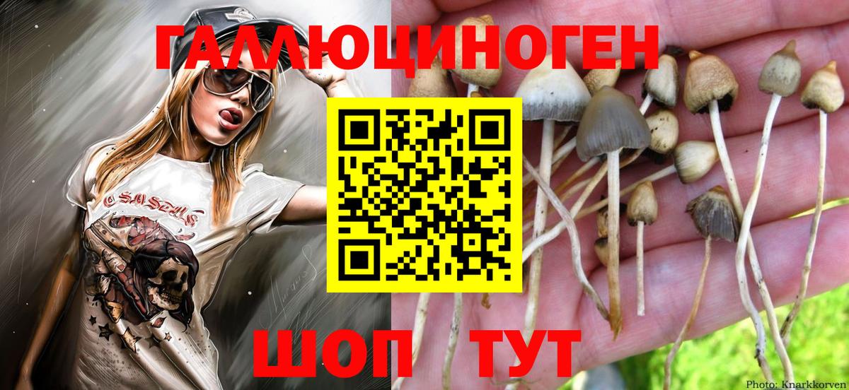 Галлюциногенные грибы GOLDEN TEACHER Кинешма