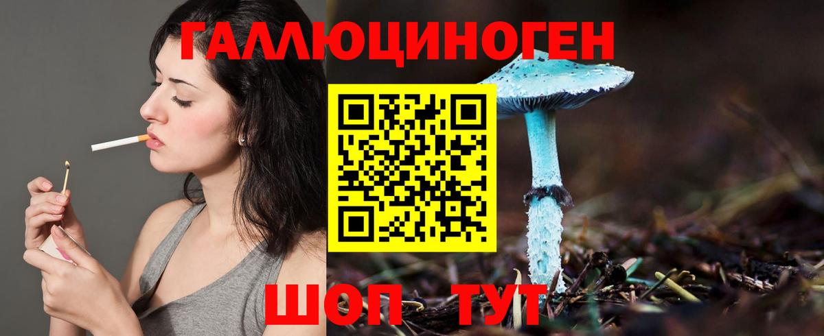 Галлюциногенные грибы Psilocybe  Вход с VPN  Псилоцибиновые грибы Magic Shrooms  Кинешма 